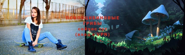 хмурый Горно-Алтайск