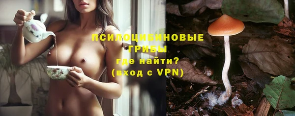 альфа пвп Горнозаводск