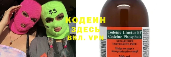 хмурый Горно-Алтайск